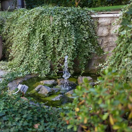 Magnolia * 卢布尔雅那