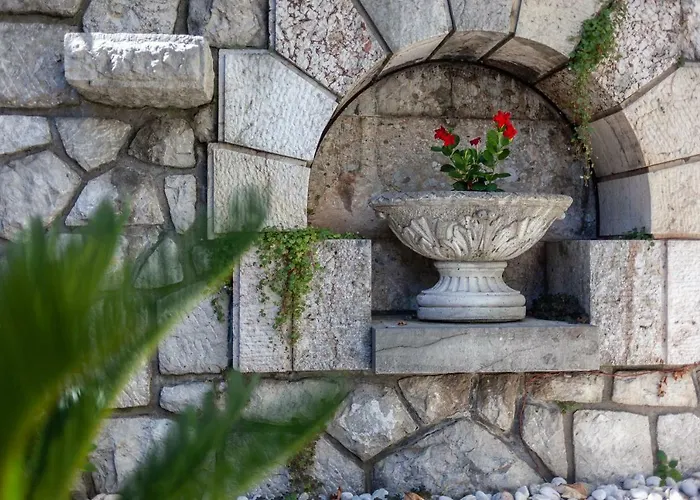 Magnolia * 卢布尔雅那