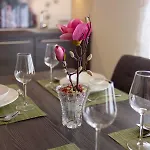 Magnolia * Ljubljana